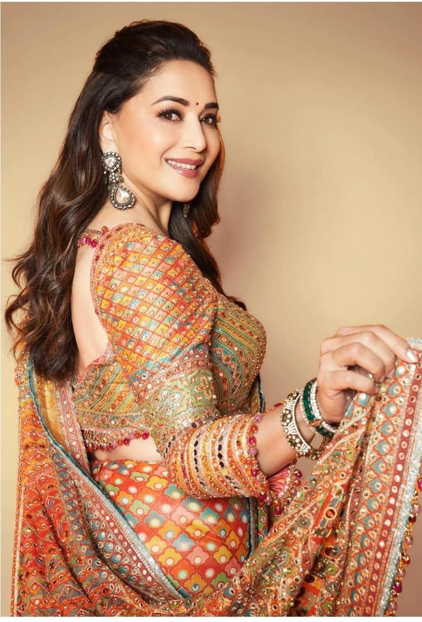 Multicolour Mirror Saree